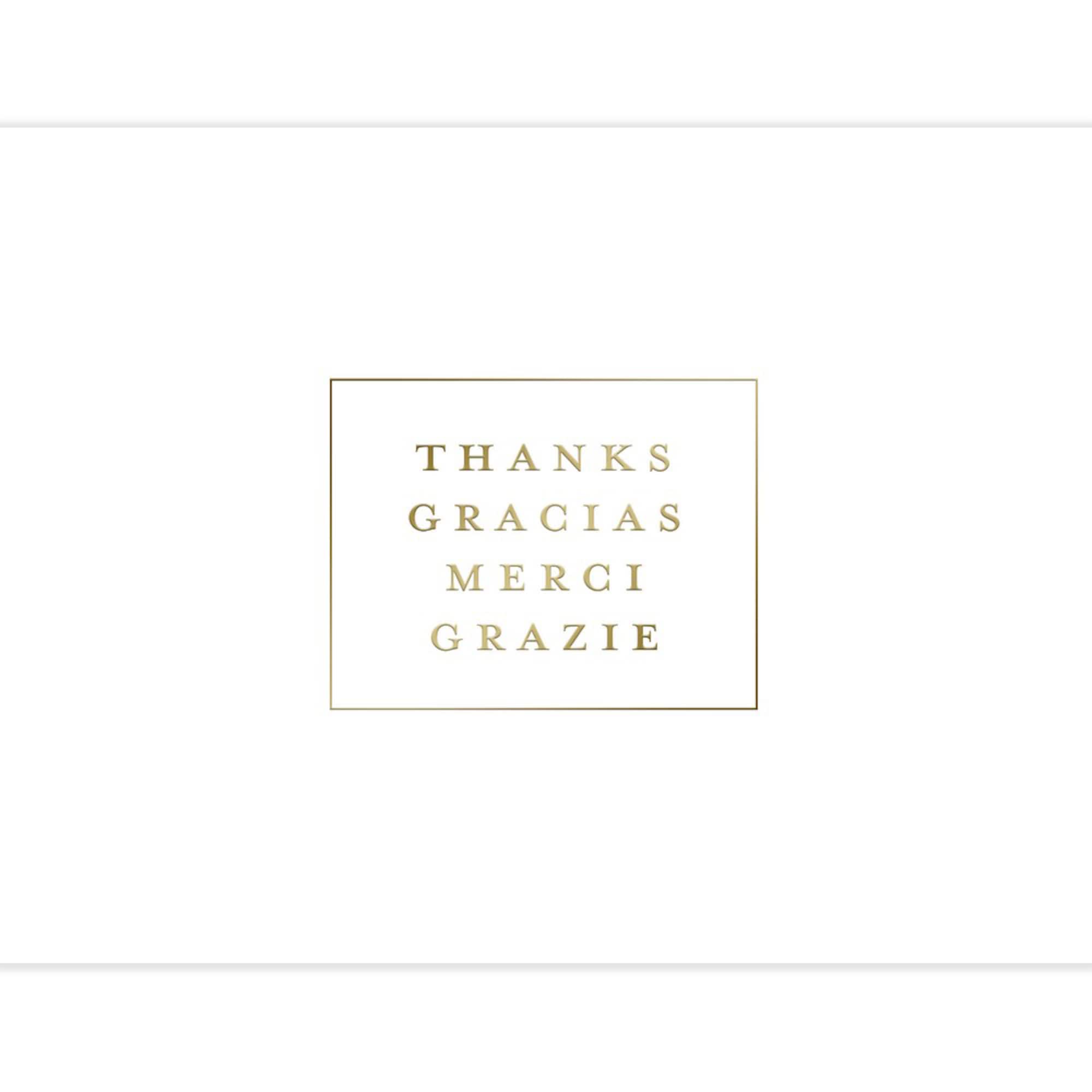 JAM Paper Languages Premium Thank You Cards & Envelopes, 12ct.